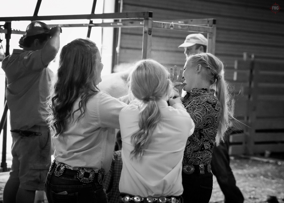 People near the bull