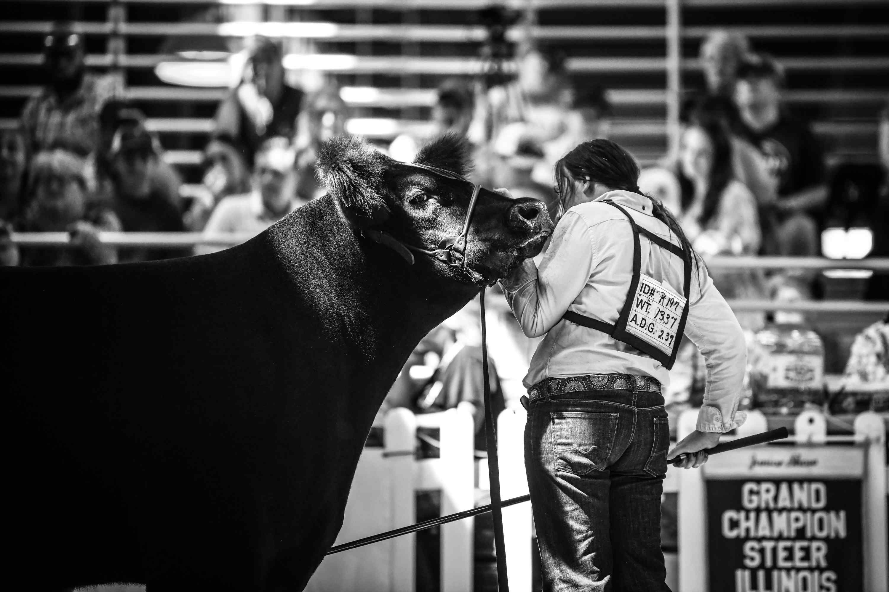 2022 Illinois State Fair