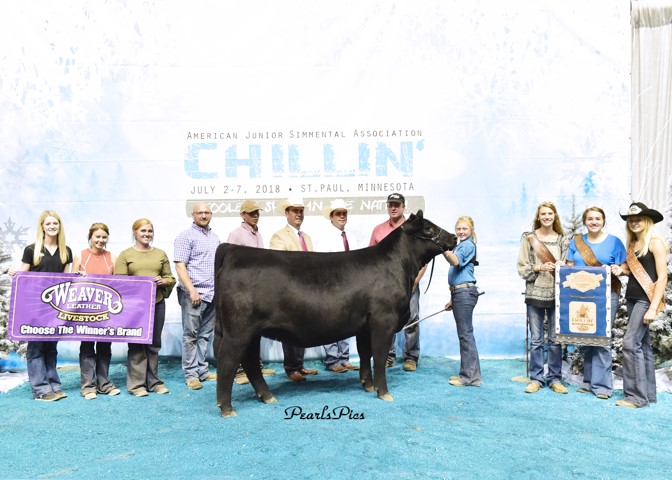 People near the bull