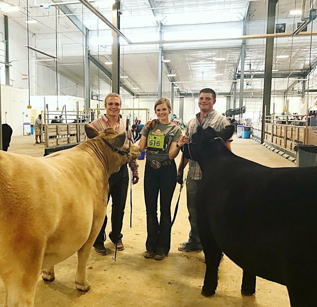 three people and two bulls