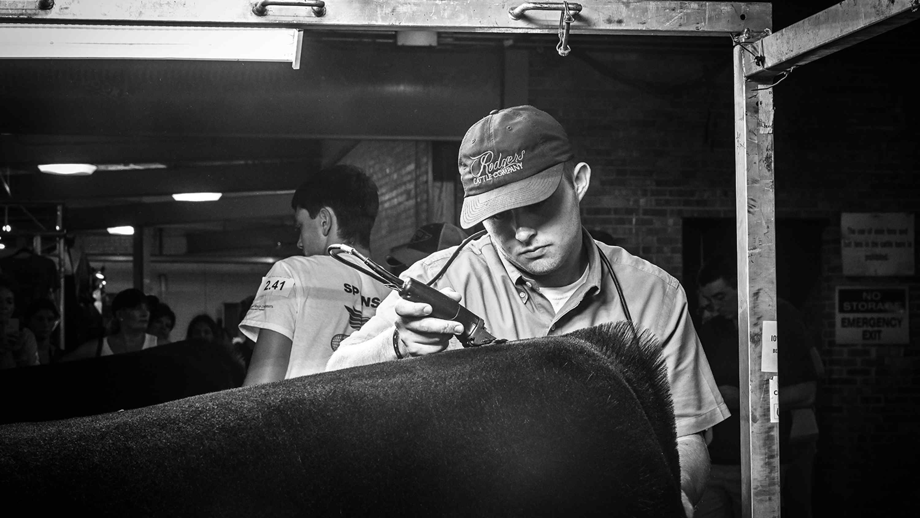 Iowa State Fair Canceled