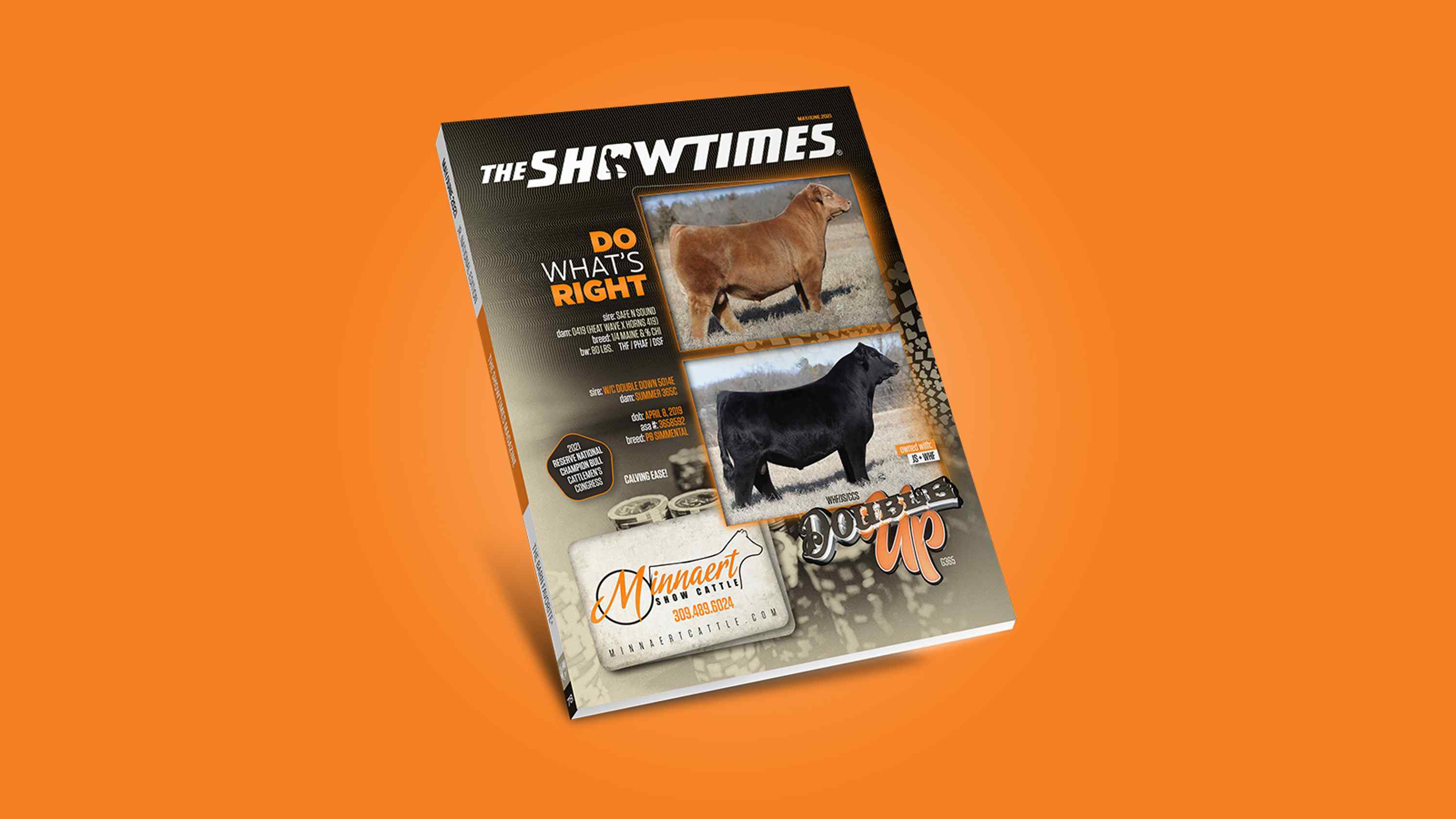 Minnaert Show Cattle On The Cover