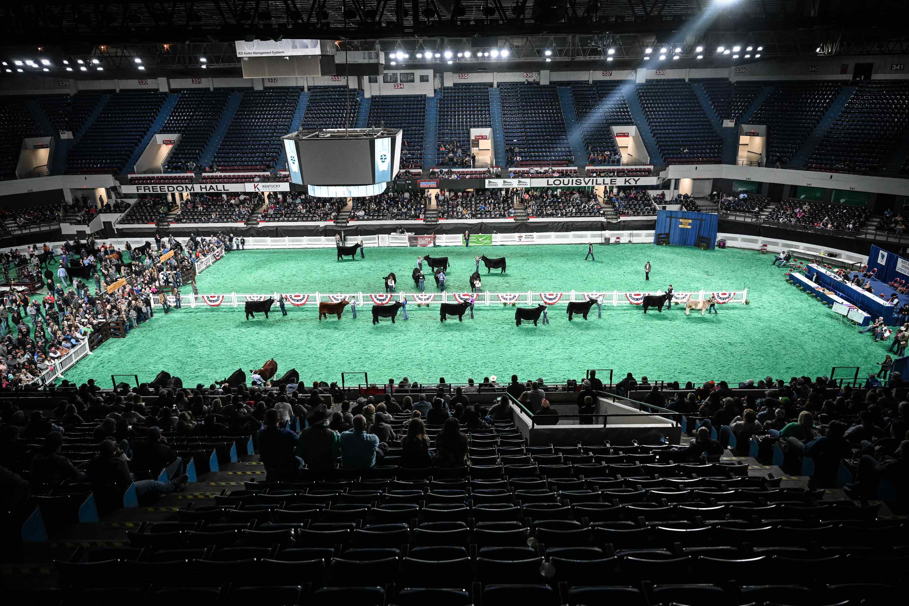 2020 NAILE Guidelines